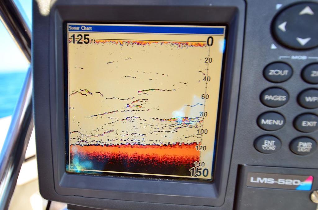That's what Spanish mackerel look like on a depth sounder.  Check out how high in the water column they feed! © Lee Brake